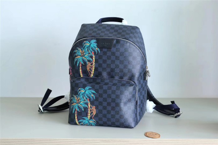 Louis Vuitton damier cobalt apollo backpack-N50003-LV50880