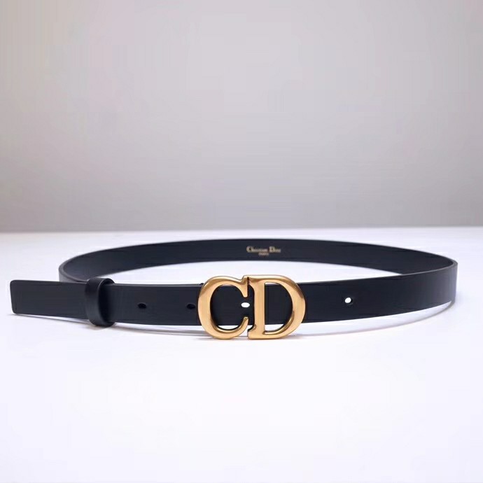 Christian Dior Saddle calfskin belt-AC50423